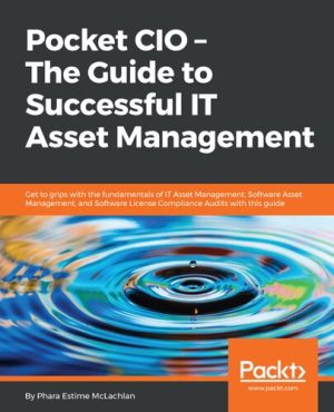 Pocket CIO The Guide to Successful IT Asset Management