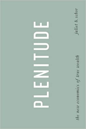 Plenitude The New Economics of True Wealth