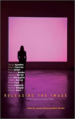 Releasing the Image From Literature to New Media