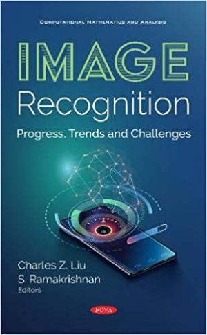 Image recognition progress trends and challenges