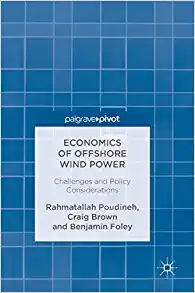 Economics of Offshore Wind Power Challenges and Policy Considerations
