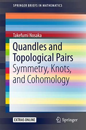 Quandles and Topological Pairs Symmetry Knots and Cohomology