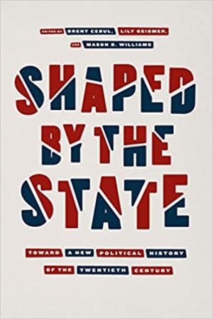 Shaped by the State Toward a New Political History of the Twentieth Century