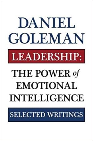 Leadership  The Power of Emotional Intellegence