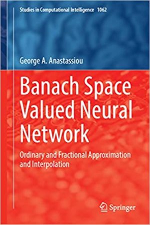 Banach Space Valued Neural Network: Ordinary and Fractional Approximation and Interpolation