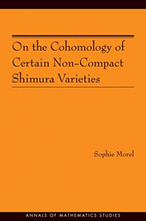 On the Cohomology of Certain Non Compact Shimura Varieties