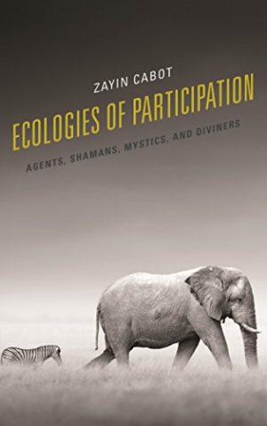 Ecologies of Participation Agents Shamans Mystics and Diviners