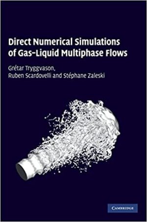 Direct Numerical Simulations of Gas Liquid Multiphase Flows