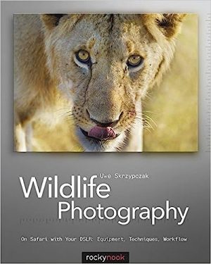 Wildlife Photography On Safari with Your DSLR Equipment Techniques Workflow