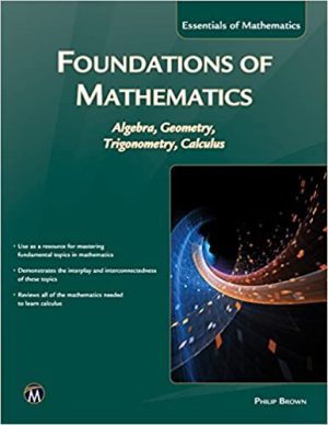 Foundations of Mathematics Algebra Geometry Trigonometry and Calculus