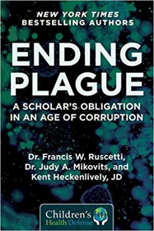 Ending Plague A Scholars Obligation in an Age of Corruption