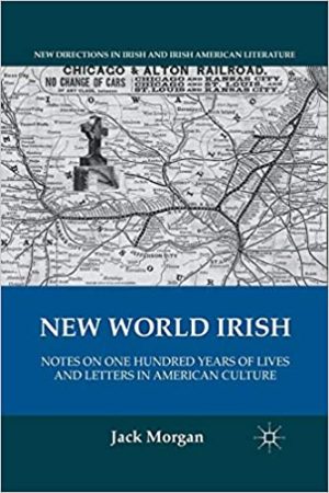 New World Irish Notes on One Hundred Years of Lives and Letters in American Culture
