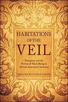 Habitations of the Veil  Metaphor and the Poetics of Black Being in African American Literature