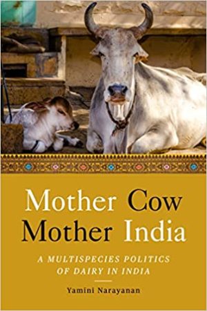 Mother Cow Mother India A Multispecies Politics of Dairy in India