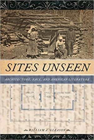 Sites Unseen Architecture Race and American Literature