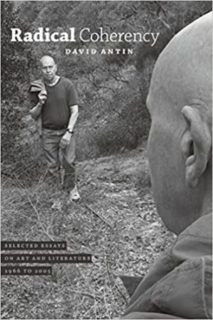 Radical Coherency Selected Essays on Art and Literature 1966 to 2005