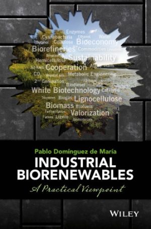 Industrial Biorenewables A Practical Viewpoint