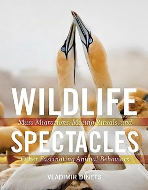 Wildlife Spectacles Mass Migrations Mating Rituals and Other Fascinating Animal Behaviors