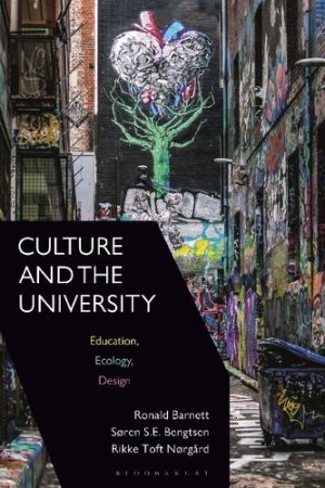 Culture and the University Education Ecology Design
